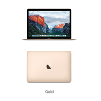 Apple Macbook MLHF2SA/A - Gold (512GB)
