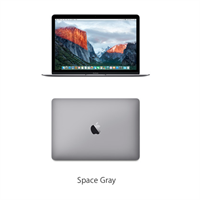 Apple Macbook MLH72SA/A - Space Grey (256GB)